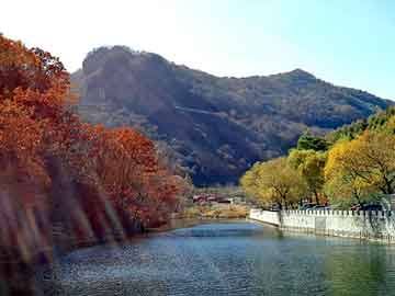 澳门二四六天天彩图库，华东钢材